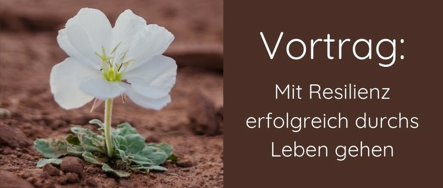 Mit Resilienz erfolgreicher durchs Leben gehen.jpg Mit Resilienz erfolgreicher durchs Leben gehen.jpg