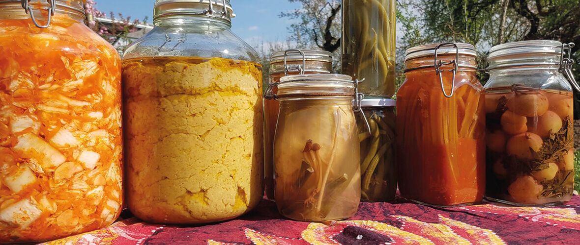 Fermentieren.jpg Fermentieren.jpg