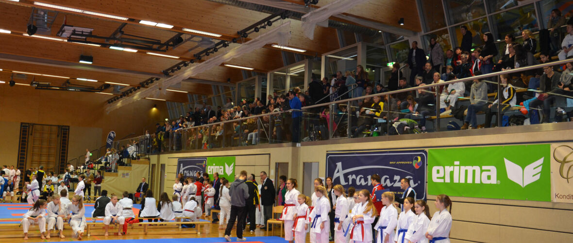 karate-lions-cup-2016--6-.jpg