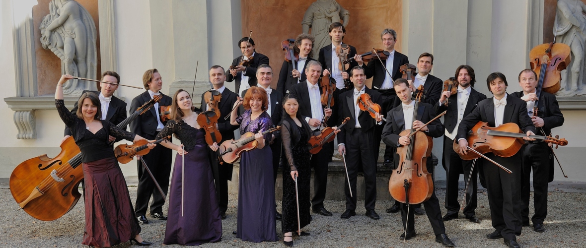 arpeggione_neu_13.jpg arpeggione_neu_13.jpg