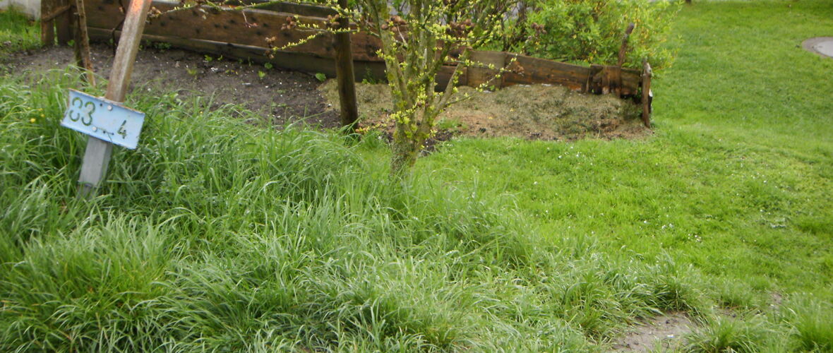 Zwischenstrecke Begehung Rheinbauleitung