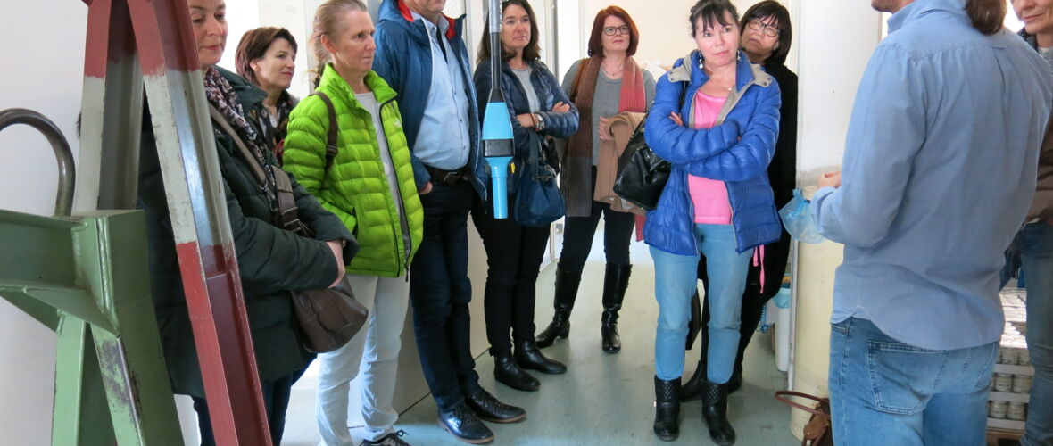 Lustenauer Senf Betriebsführung