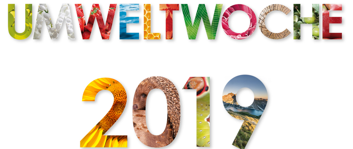 UW_quer_2019_large