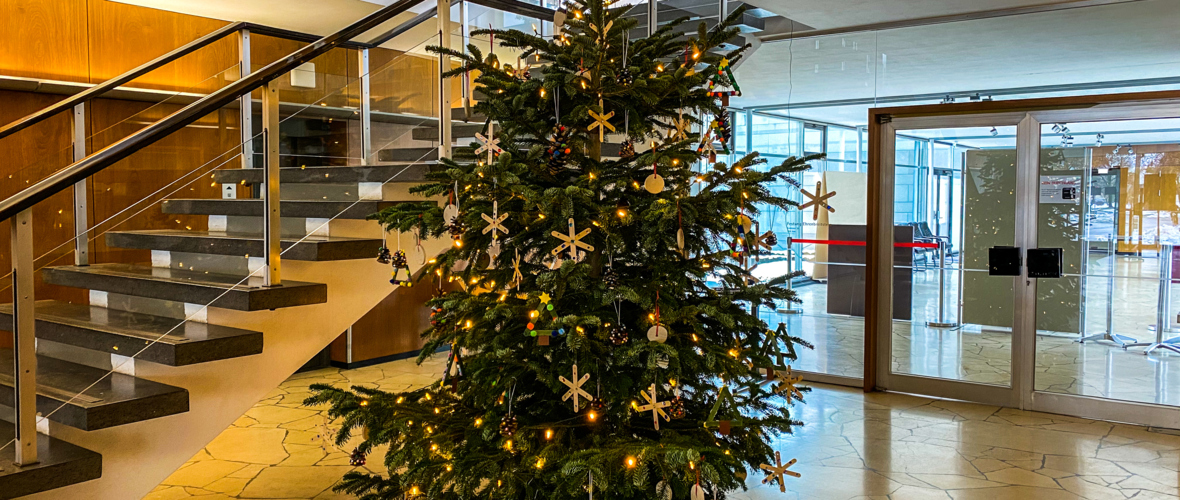 Christbaum Rathaus Christbaum Rathaus