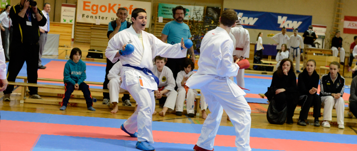 Lions Cup Karate