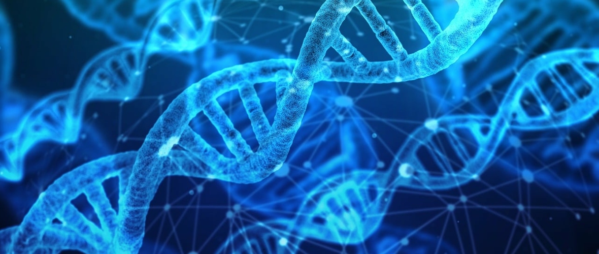 dna-3539309_1280 dna-3539309_1280