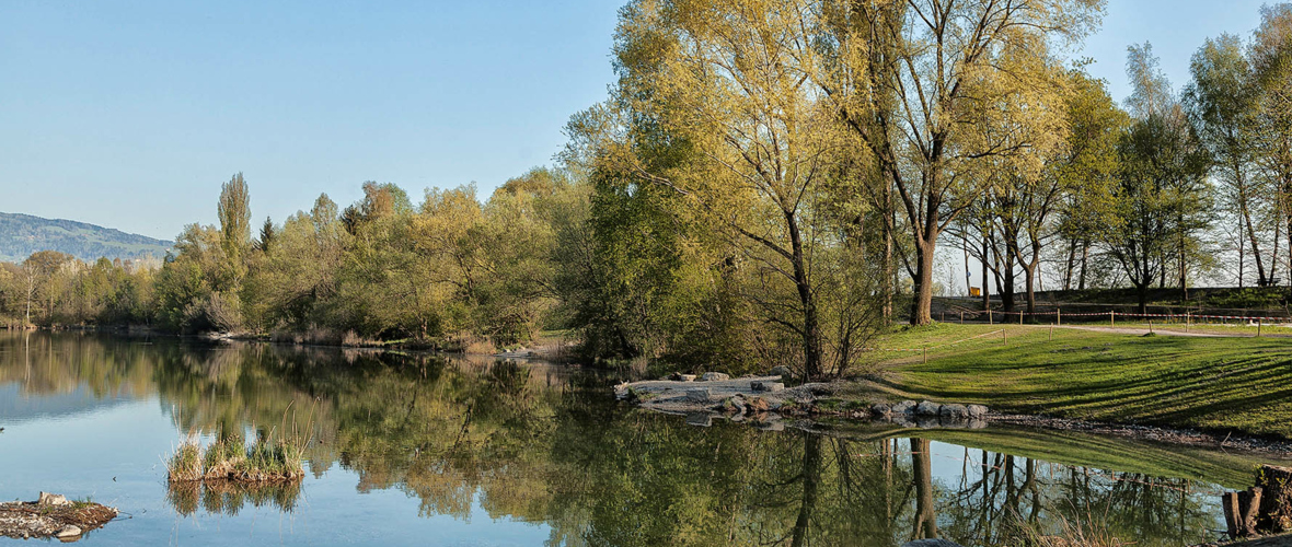 Alter Rhein 2015