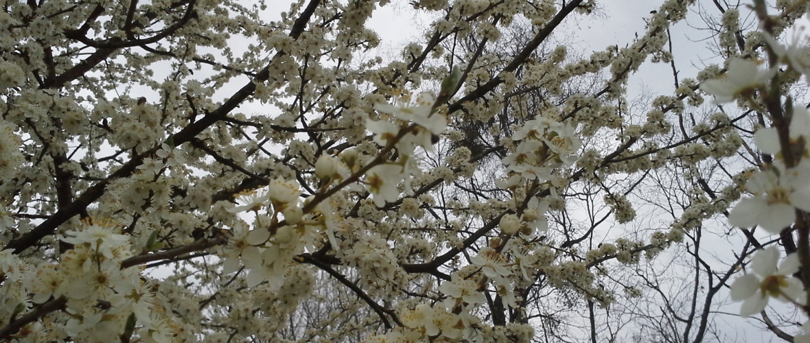 20160330_122117 20160330_122117