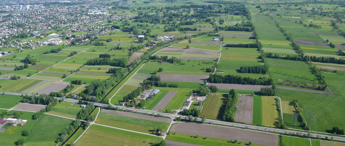 Landschaftsentwicklung Lustenauer Ried