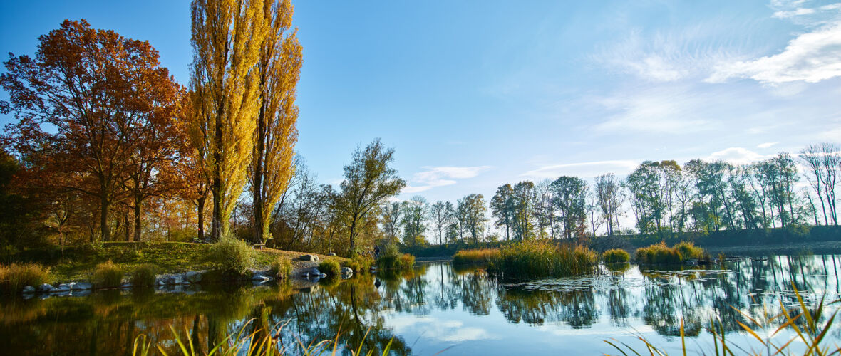 Landschaftsspaziergang im Naturpark Alter Rhein