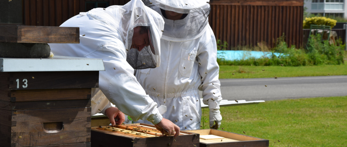 Bienenzuchtverein Lustenau Bienenzuchtverein Lustenau