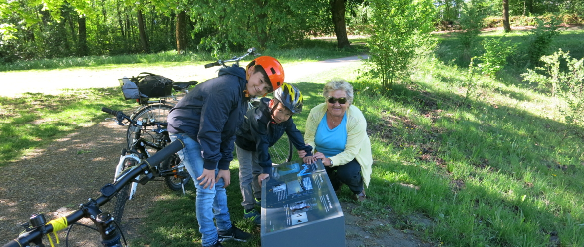 Alter Rhein Naturlehrpfad+Infosystem (10) Alter Rhein Naturlehrpfad+Infosystem (10)