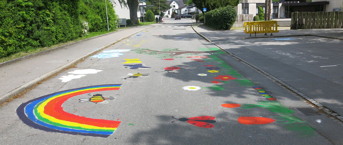 Blühende Straßen_MS Hasenfeld (36)