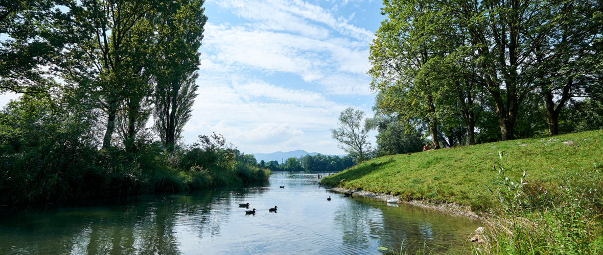Alter-Rhein_Sommer 2017_@Marcel Hagen (2) Alter-Rhein_Sommer 2017_@Marcel Hagen (2)