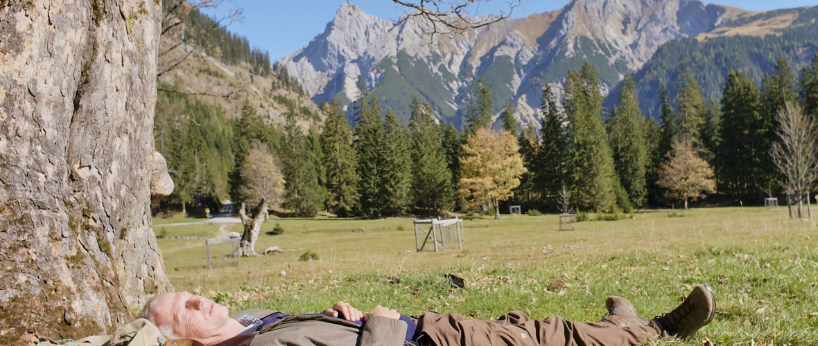 Hofkultur im Heidensand: Wanderkino "But Beautiful" Hofkultur im Heidensand: Wanderkino "But Beautiful"