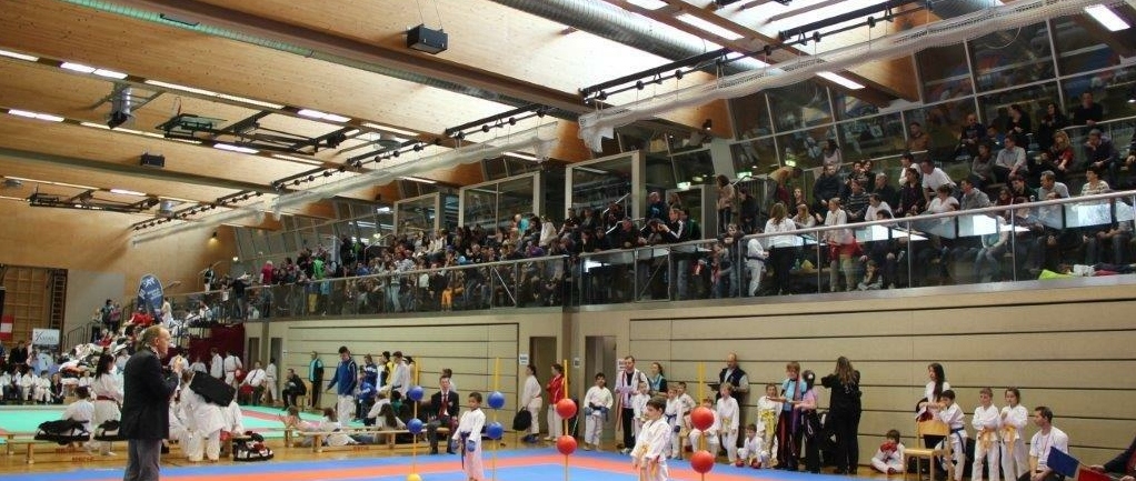 Karateclub Lions Cup 1