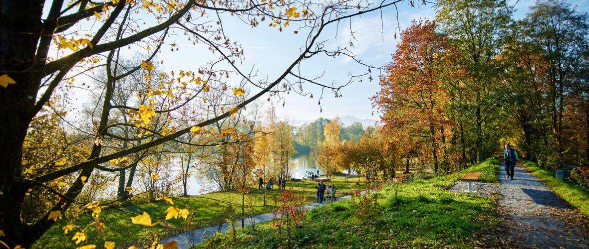 Alter_Rhein_10-2015_21 Marcel Hagen Alter_Rhein_10-2015_21 Marcel Hagen