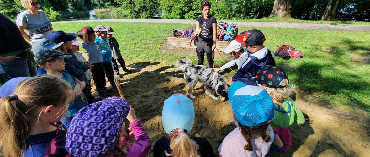 Riedkindergarten sucht nach Biberspuren