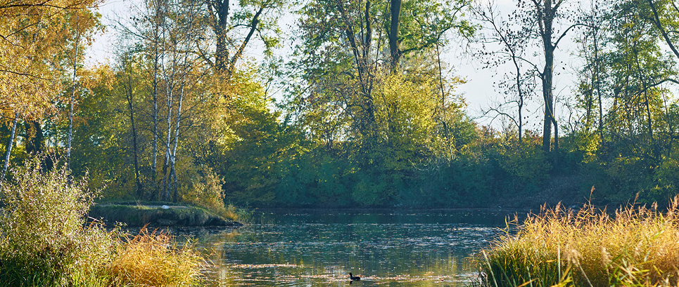 Homepage_Alter_Rhein_10-2015_09 Marcel Hagen Homepage_Alter_Rhein_10-2015_09 Marcel Hagen