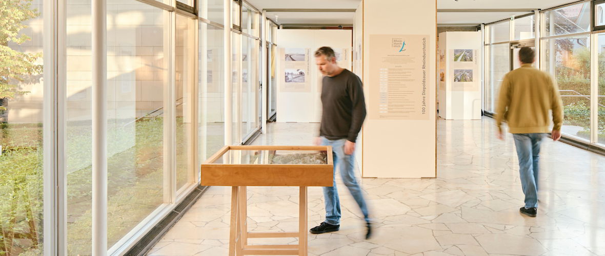 Ausstellung Ausstellung