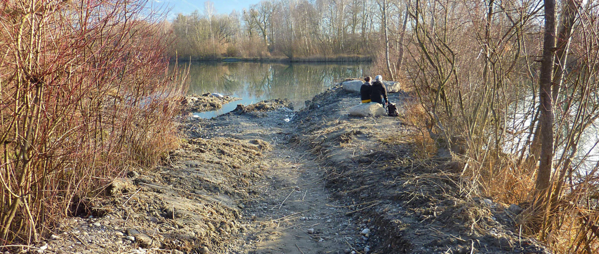 Neue Uferstrukturen Neue Uferstrukturen