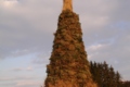 eichelefunken-1.jpg