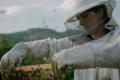 Hofkultur 2023 | Kino in der Heuhalle: Hive