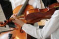 Violine
