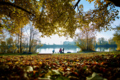 Alter_Rhein_10-2015_01 Marcel Hagen