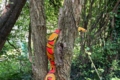 Bild2