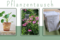Pflanzentausch_Lustenau.png