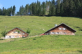 Schöner Mann