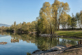 Alter Rhein