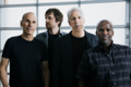 The Yellowjackets Freudenhaus 2021