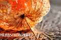 poster_herbstkonzert_2023 4c Druck