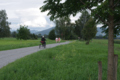 Schweizer Ried 3