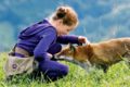 der-fuchs-und-das-maedchen-der-junge-und-der-wolf_lunafilms