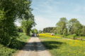 LEK Wahrnehmungsfahrt Ried April 2018_print (132)