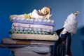 Die Prinzessin auf der Erbse - Lille Kartofler Figurentheater