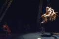 Freudenhaus 2021: Striking Roots into the Void