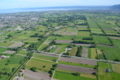 Landschaftsentwicklung Lustenauer Ried