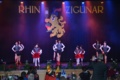  Rhinzigünar Gardegala