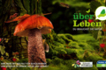 Überleben_Sujetbild