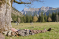 Hofkultur im Heidensand: Wanderkino "But Beautiful"