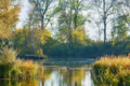 Homepage_Alter_Rhein_10-2015_09 Marcel Hagen