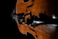 cello-6948522_1280