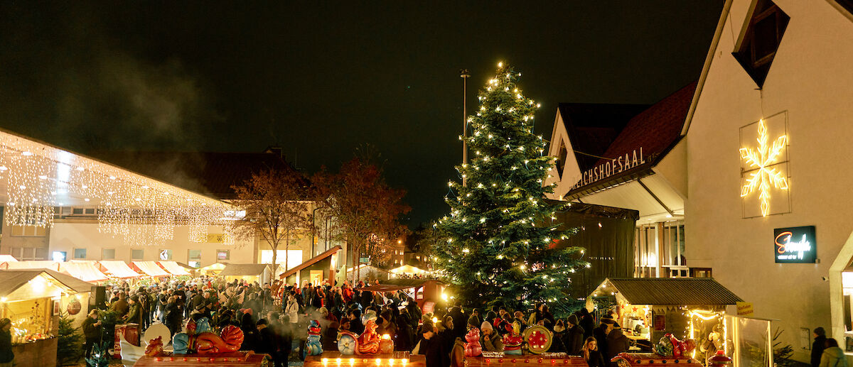 20241130_MIK_177449_HiRes (1)