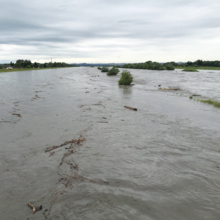 Rheinhochwasser 17062016