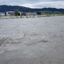 Rheinhochwasser 