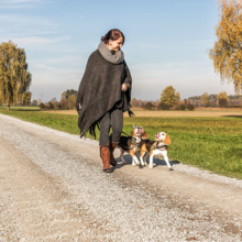Verantwortungsvolle Hundehaltung in Lustenau